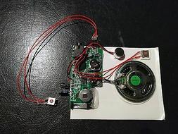 120s w LINE IN port PUSH BUTTON record device voice module m
