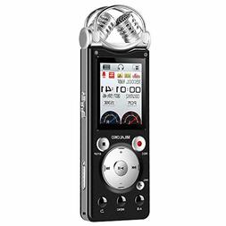 For Lectures Meetings Interview With Dual Microphone Voic