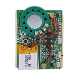 Rechargeable USB Sound Recordable Voice Module for Greeting 