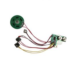 Recordable Voice Module for Greeting Card Music Sound Talk c