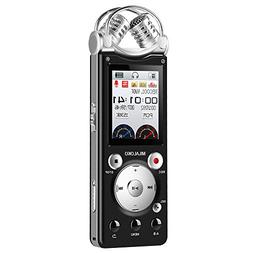 For Lectures Meetings Interview With Dual Microphone Voice A